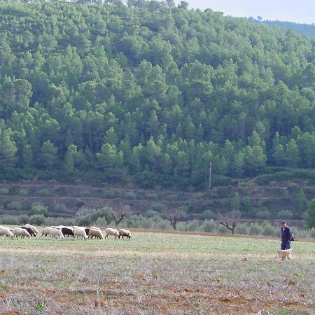 Mogente La Bodega Enoturismo Rural מראה חיצוני תמונה