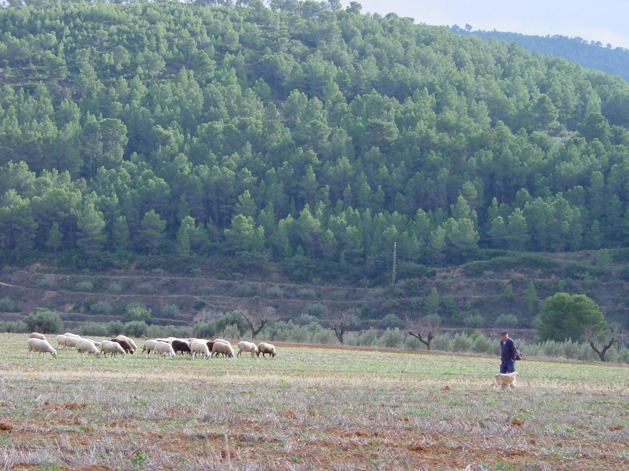 Mogente La Bodega Enoturismo Rural מראה חיצוני תמונה